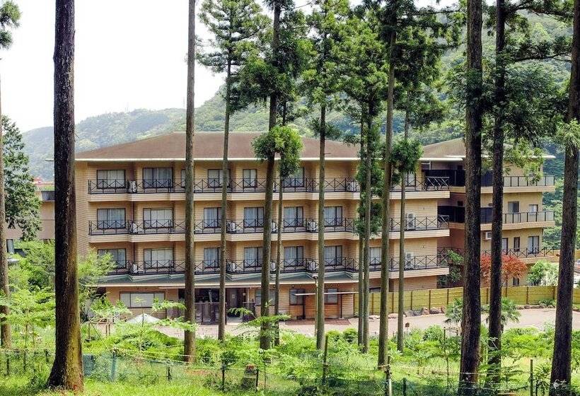 هتل Hakonenomori Okada