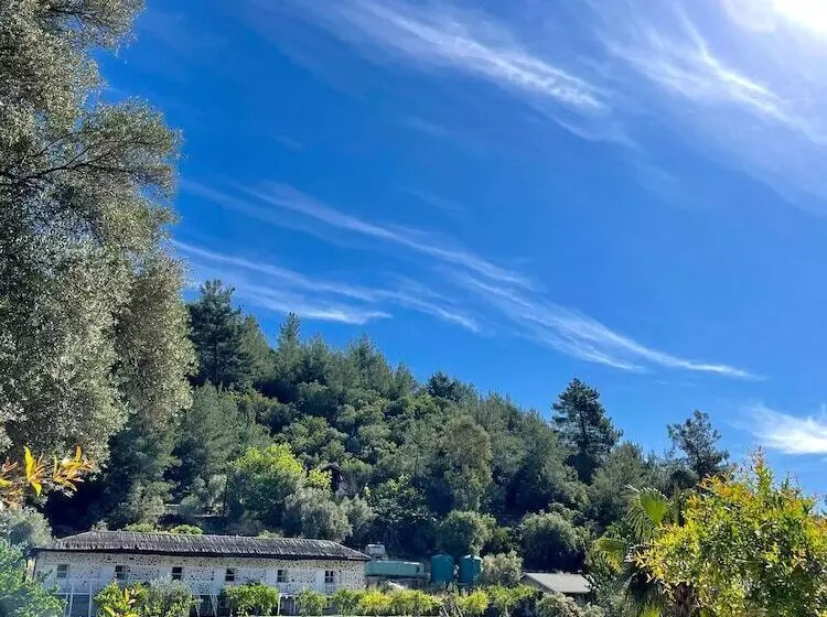 فندق Angels Garden