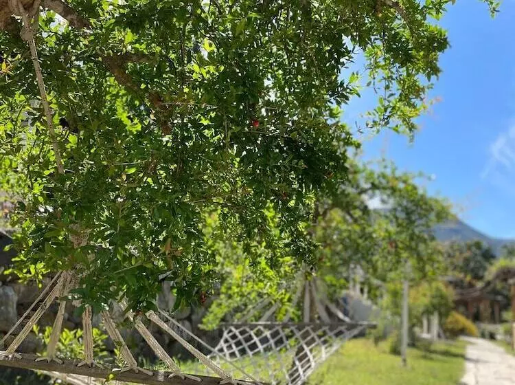 فندق Angels Garden