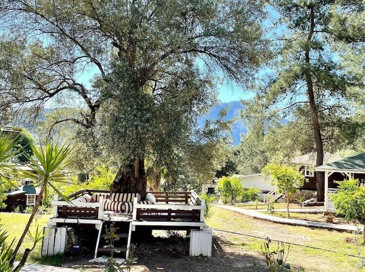 Отель Angels Garden