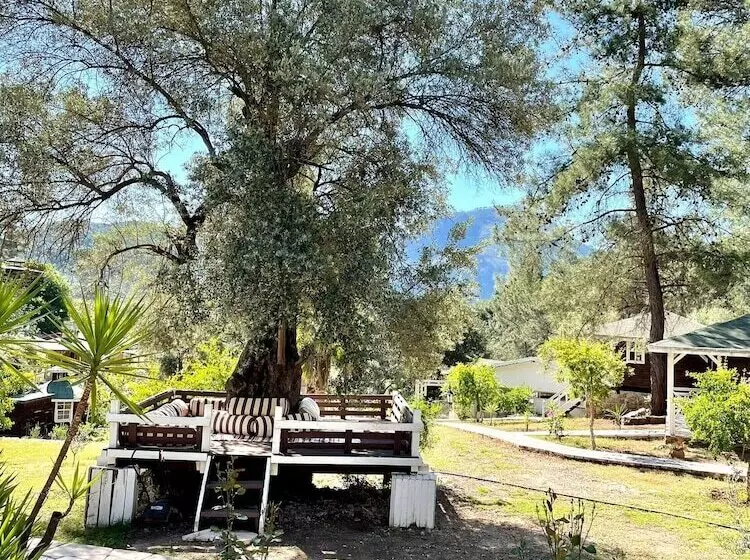 فندق Angels Garden