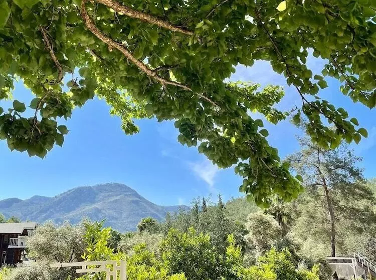 فندق Angels Garden