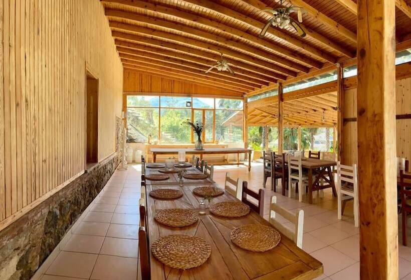 Отель Angels Garden