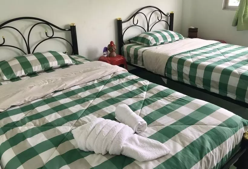 Отель Thailand Guest House