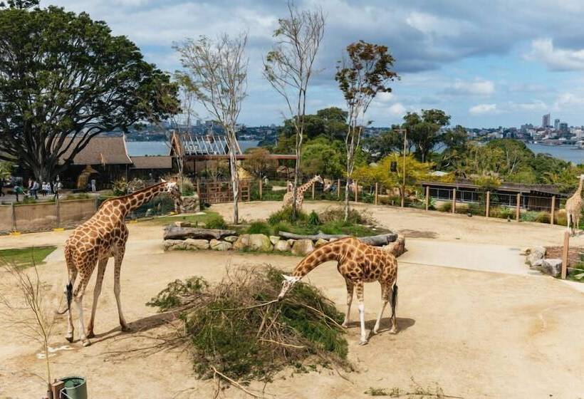 The Pacific House Hostel