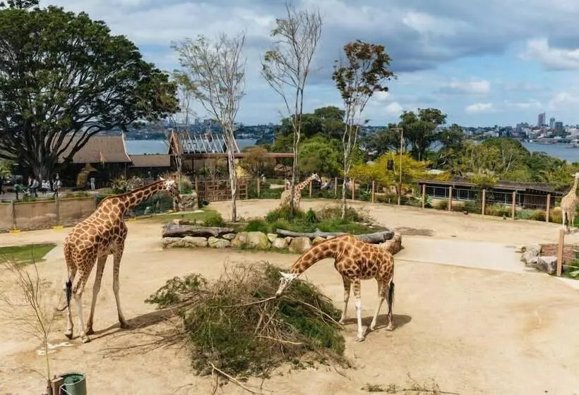 The Pacific House Hostel