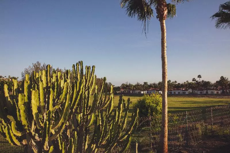 Vista Verde - Adults Only