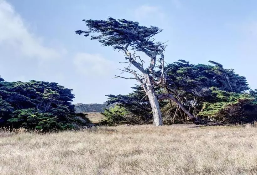 Hotelli Bayside Cottage