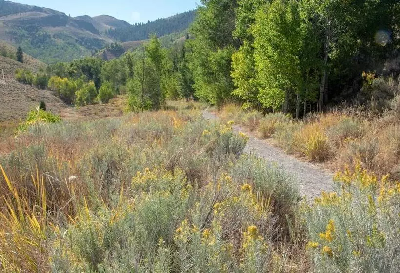 ホテル Sun Valley Atelier Studio  Serenade