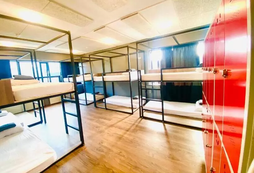 Bus Hostel Reykjavik Reykjavik Terminal