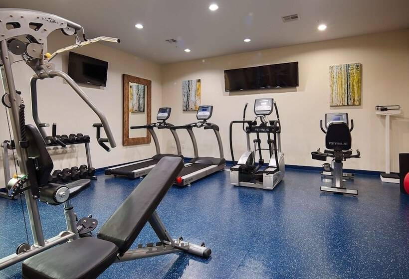 هتل Best Western Premier Ashton Suiteswillowbrook