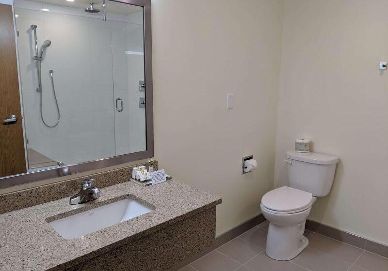 هتل Best Western Premier Ashton Suiteswillowbrook