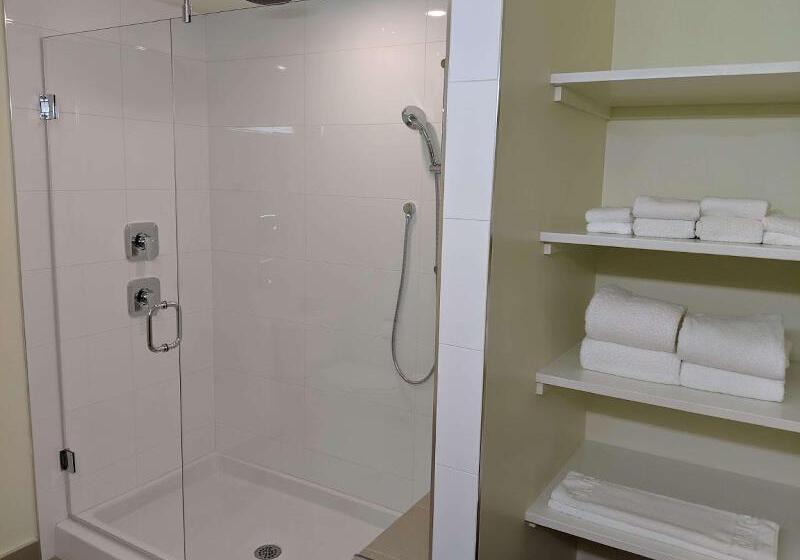 هتل Best Western Premier Ashton Suiteswillowbrook