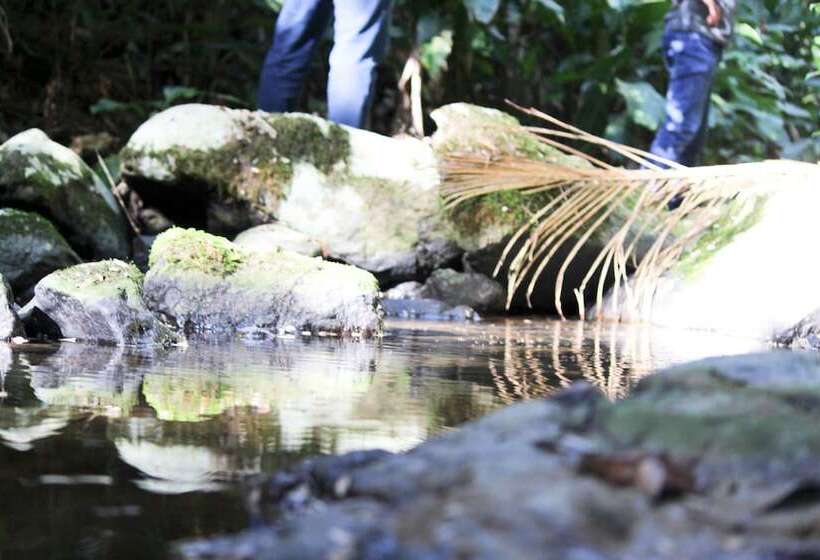 호텔 Fazenda Casarão Do Vale