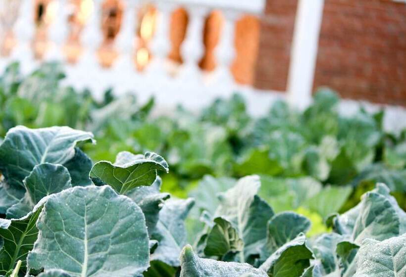 호텔 Fazenda Casarão Do Vale