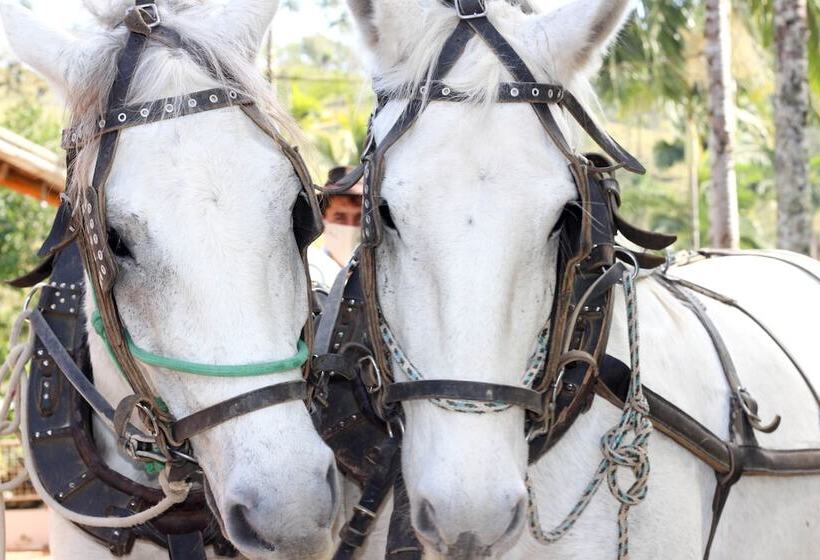 호텔 Fazenda Casarão Do Vale