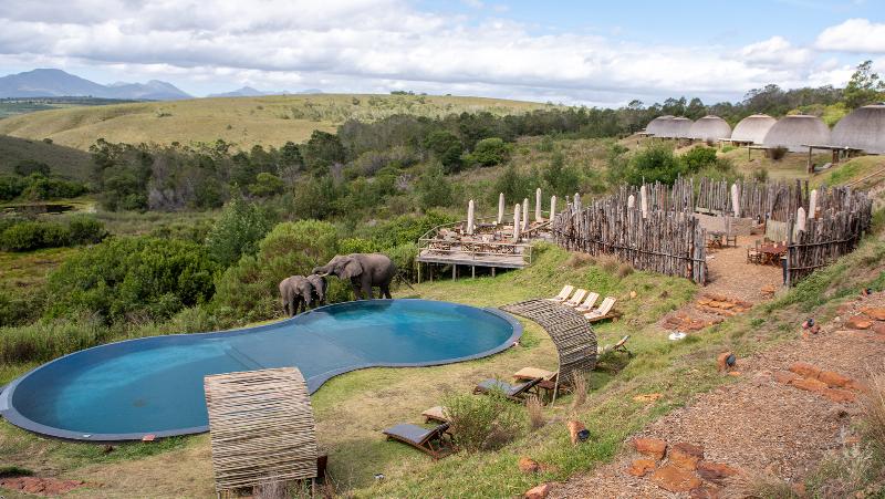 호텔 Gondwana Game Reserve