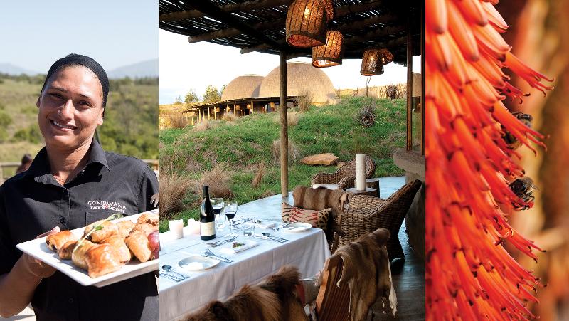 호텔 Gondwana Game Reserve