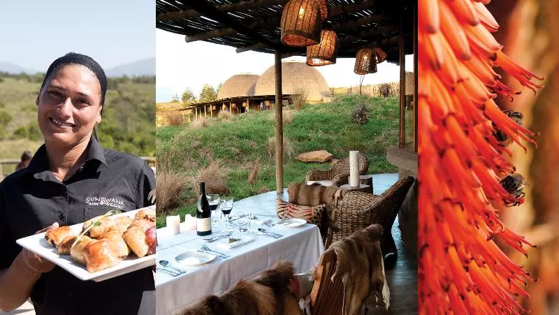 호텔 Gondwana Game Reserve