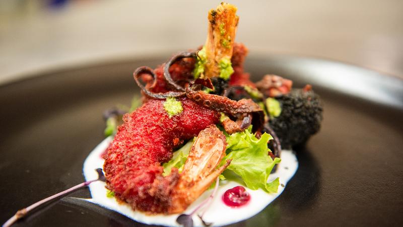 호텔 Gondwana Game Reserve