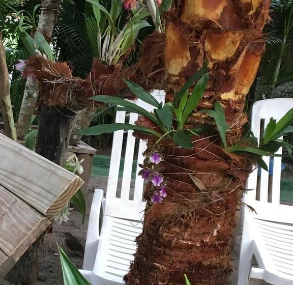 酒店 Pousada Marimar