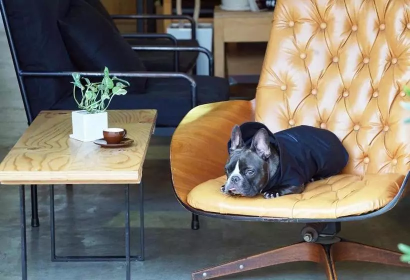 בית מלון כפרי Tokyo Hutte