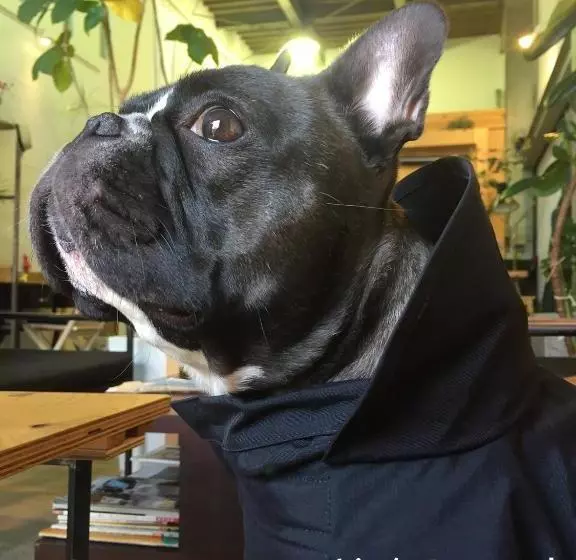 בית מלון כפרי Tokyo Hutte