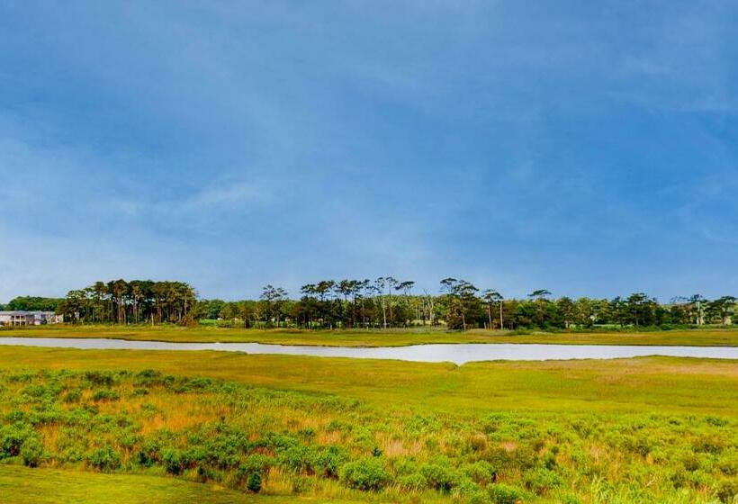 فندق Bethany Bay   Big Marsh