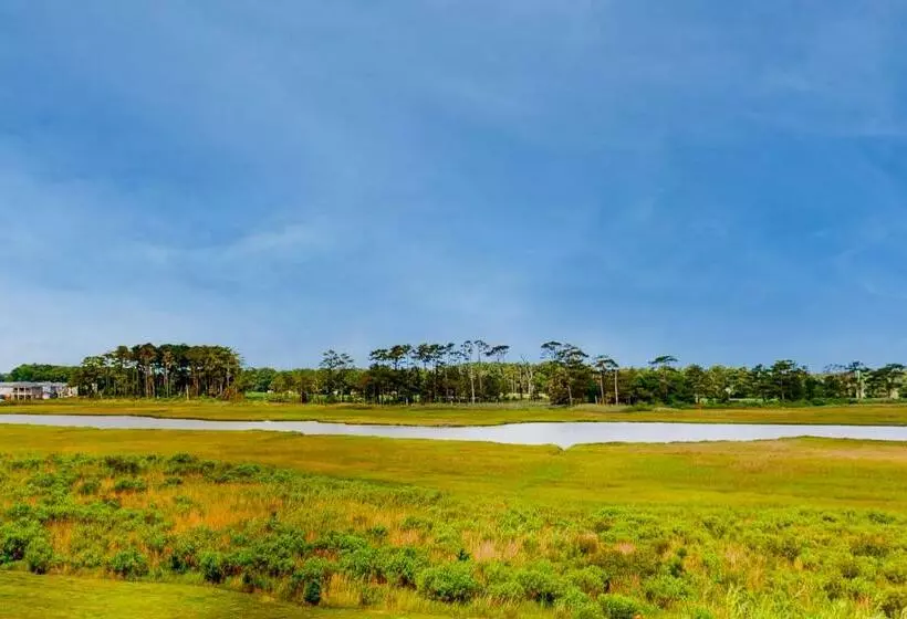 ホテル Bethany Bay   Big Marsh