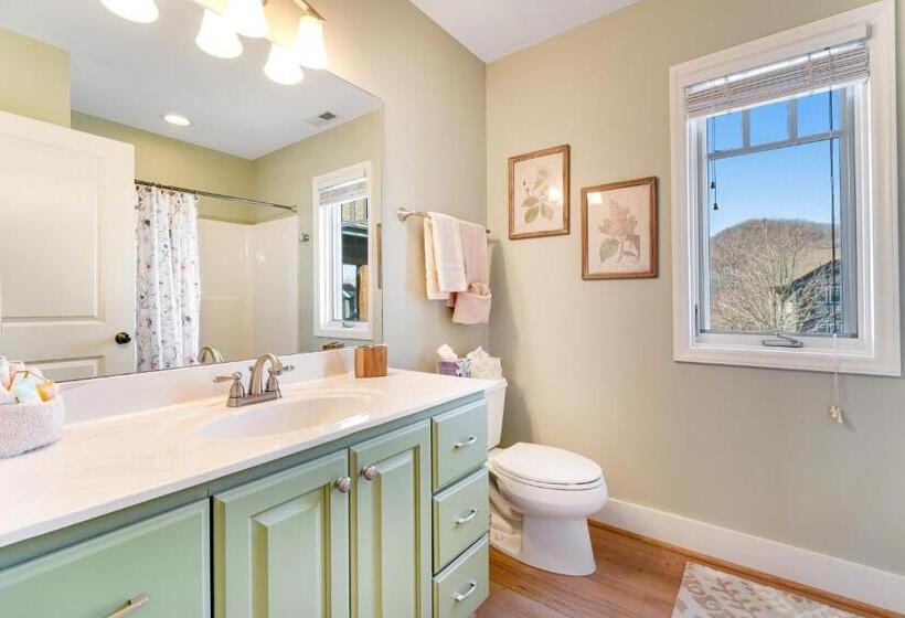 Отель Echota Wintergreen Views