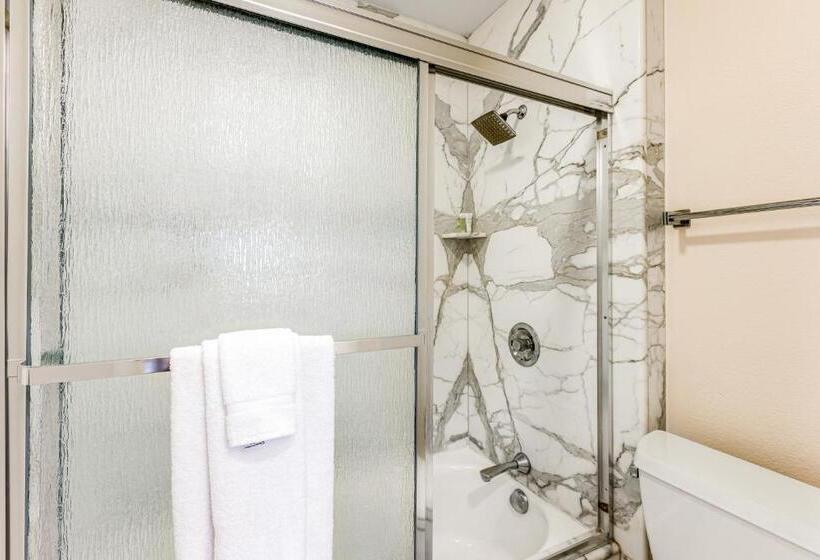 Отель I Only Have Eyes For You