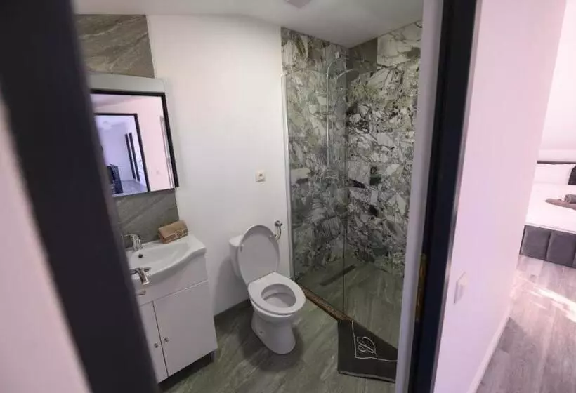 Aamiaismajoitus (B&B) Pensiunea Lor