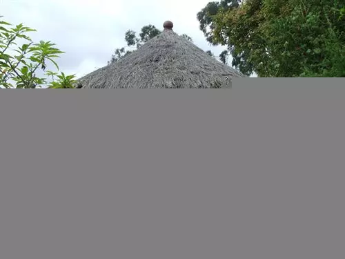 هاستل Mount Kilimanjaro View Lodge