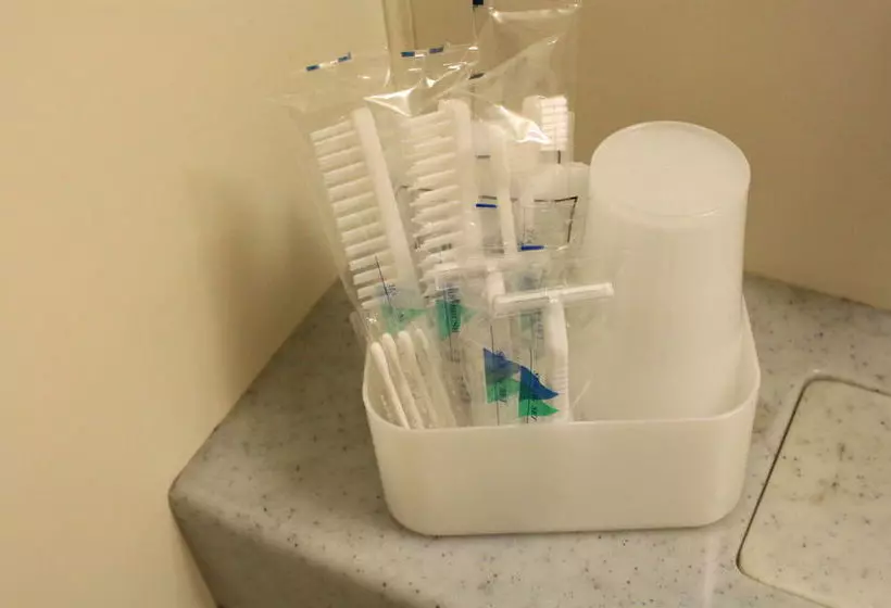 בית מלון כפרי Ascent Inn Sapporo