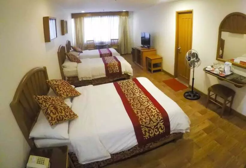 酒店 The Golden Pine