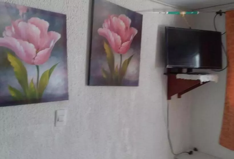 ペンション Green Sea Inn San Luis