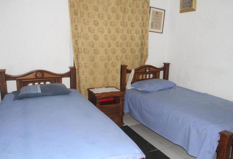 פנסיון Green Sea Inn San Luis