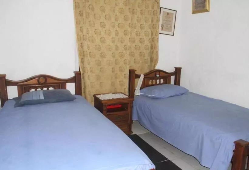 ペンション Green Sea Inn San Luis