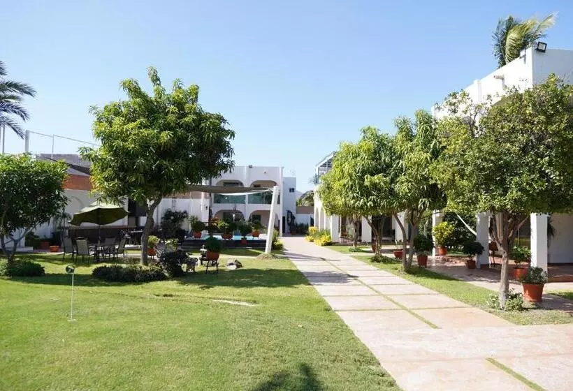 リゾートホテル Finca Luz Del Mar