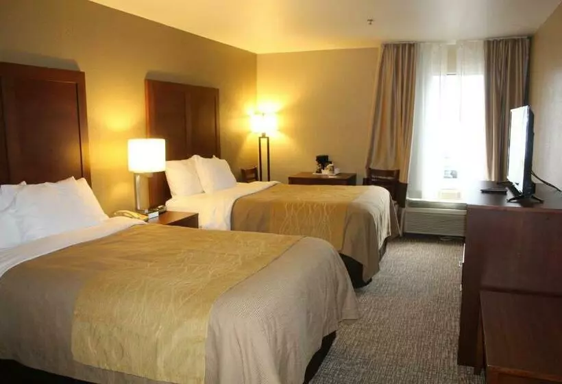 ホテル Bristol Arcadia Inn