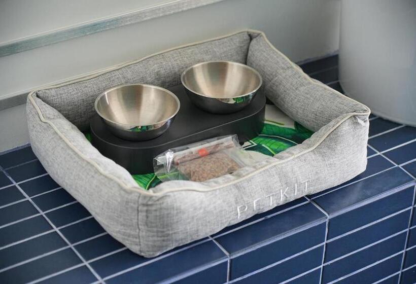 Go! Hotel Bowin At Robinson Lifestyle Bowin