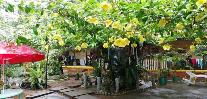 Pensiune Ennas Place