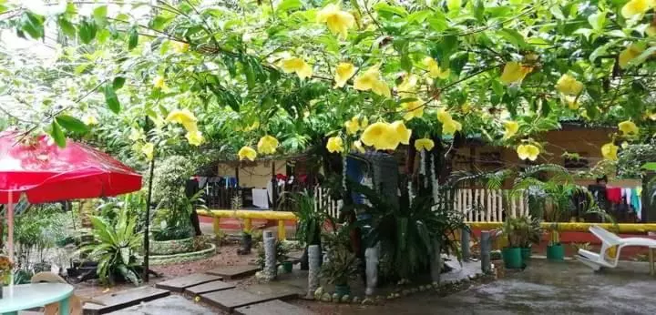 Pension  Ennas Place