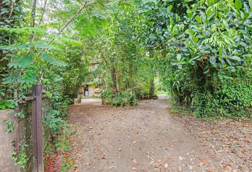 酒店 Collection O Clement Holydays