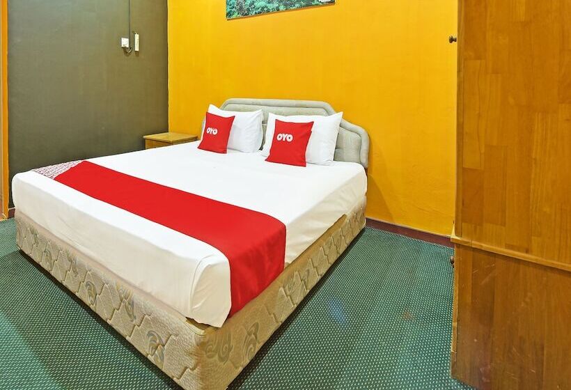 Hotel Oyo 90672 De Paradise Turtle