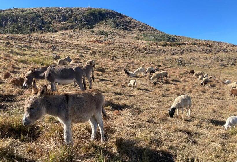 호텔 Rose Mountain Cottage