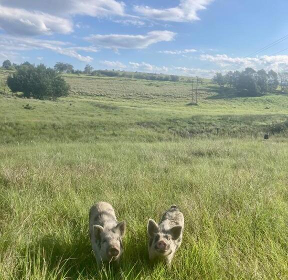 호텔 Rose Mountain Cottage