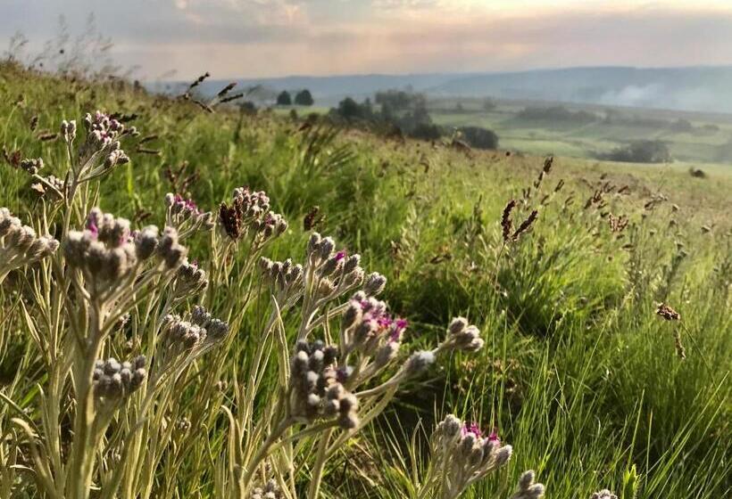 호텔 Rose Mountain Cottage