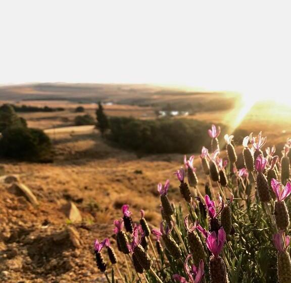 호텔 Rose Mountain Cottage