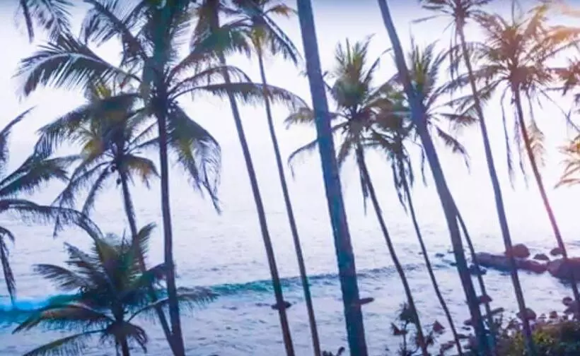 Aamiaismajoitus (B&B) Blue Waves Madiha